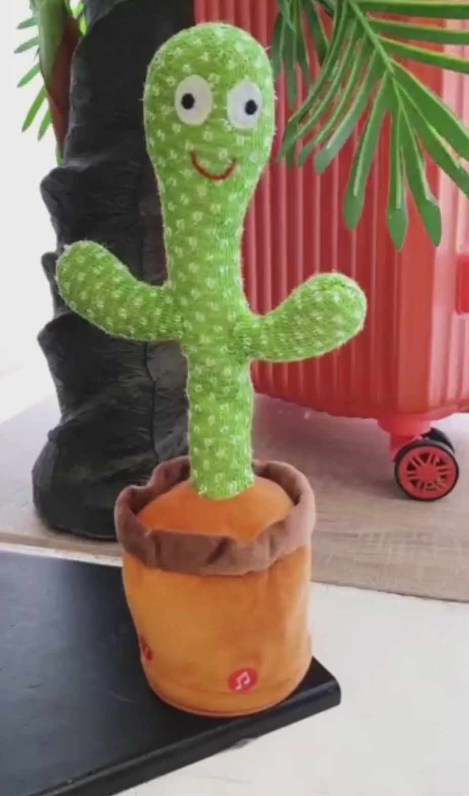 Cactus bailarín